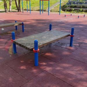 Купить Помост для выполнения испытания "Сгибание-разгибание рук в упоре лежа на полу" в Владивостоке 